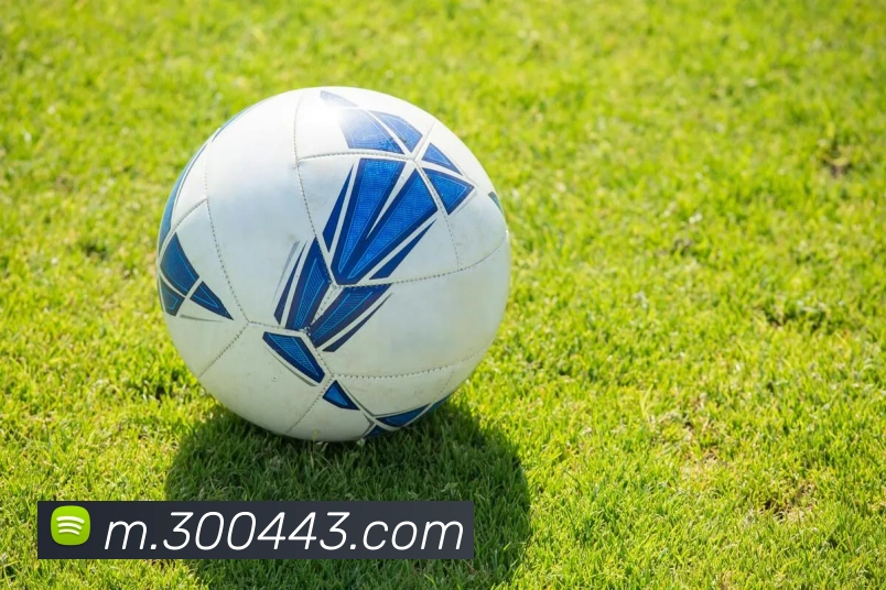 500彩票网官方全站App